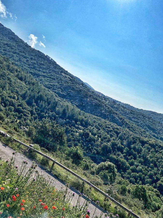Bed and Breakfast U Pasturellu Pioggiola Exterior foto