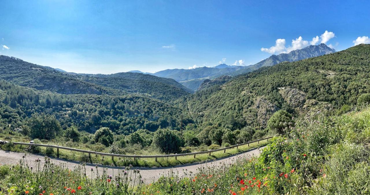 Bed and Breakfast U Pasturellu Pioggiola Exterior foto