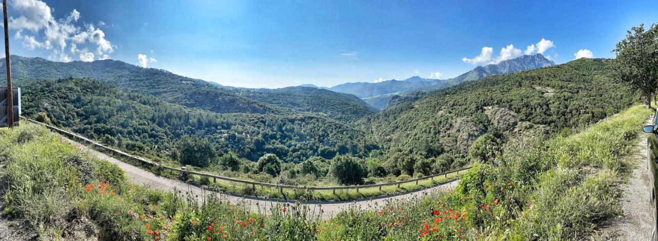 Bed and Breakfast U Pasturellu Pioggiola Exterior foto